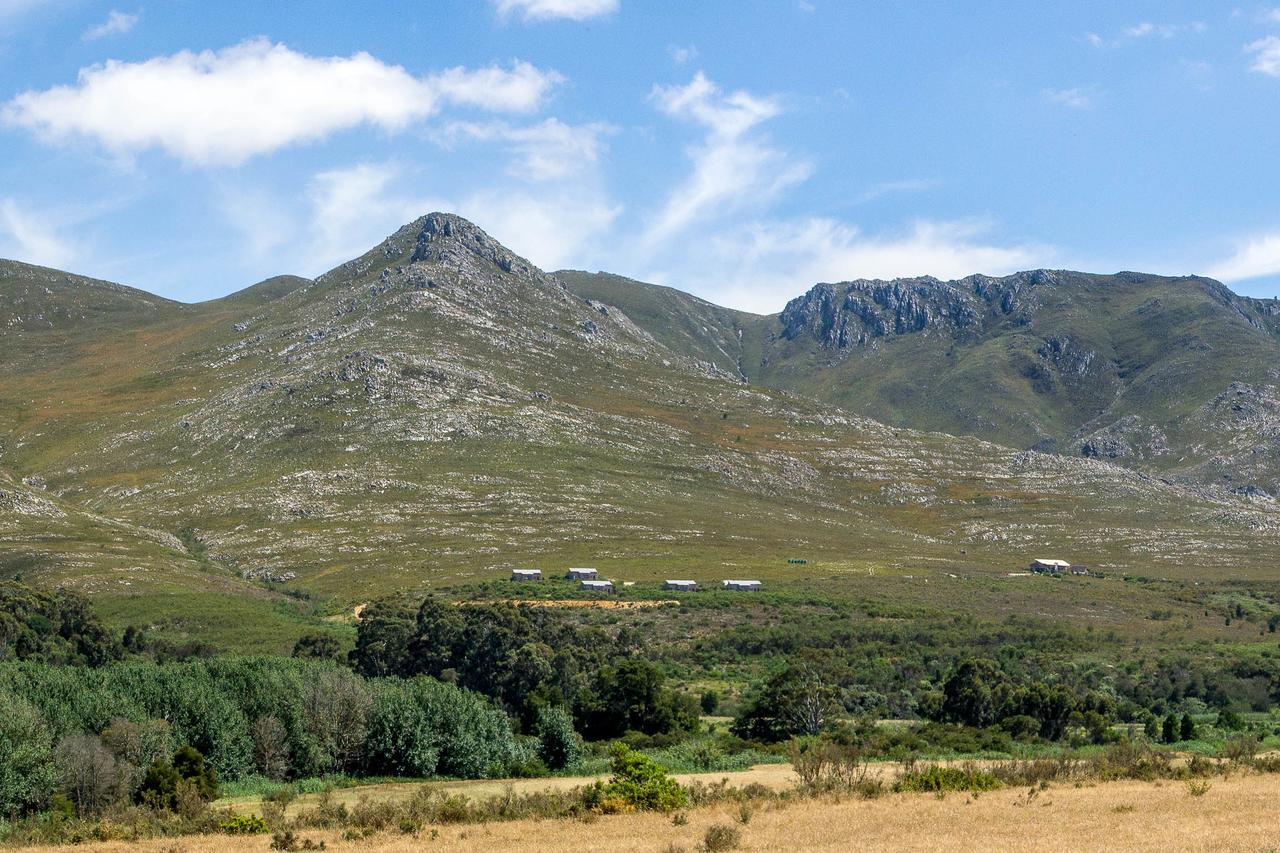 Phillipskop Mountain Reserve Stanford Kültér fotó